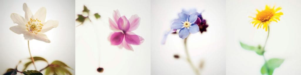 Livret Le Chant des Fleurs Jean-Pascal Boffo