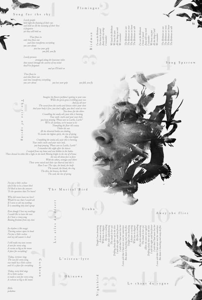 Livret JeanPascal Boffo Vol d'Oiseaux
